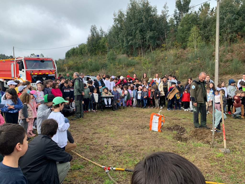 jornadas forestales